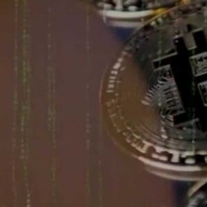 C223a9e5 Cb76 4165 832e 1323e40a41d7.jpg