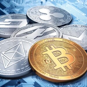 Jpmxp7dbbx8kgsz96oqbee 1200 80.jpg