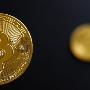 Sozccxu33igvz67sk5wr2k 1200 80.jpg