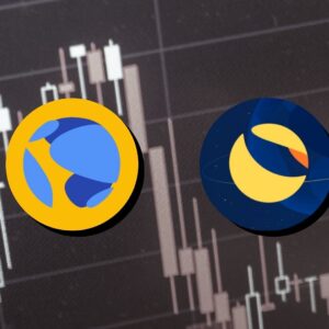 Thequint2f2022 052f331a7db8 0c26 4eaf 91bf 4b8f3b32a6ed2fviraj 14 .jpg