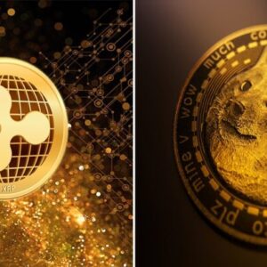 Xrp doge 750x406.jpg