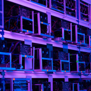 Grassimage reclubzt8zxmheexc 1.jpg