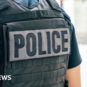 A7c9bf00 3b29 11f0 9410 57c2dd2768aa.jpg