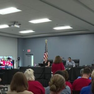 C6858806 9366 413b b62c 5bd62be52ba3 johnsoncityvote.jpg