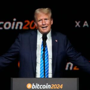 Ce337dd7 c60b 4345 b685 6af171a764dc.jpeg