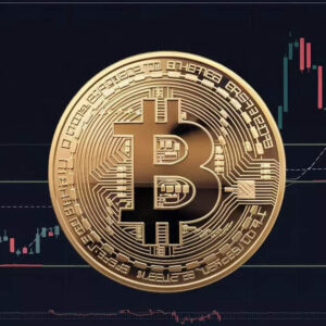 1752267112 articleshow.jpg