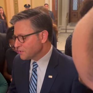 6876b366496a4.image .jpg