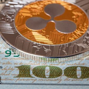 Image 1363462940.jpg