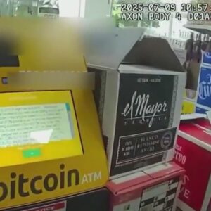 Snapshot 2025 08 19t182142.008.jpg