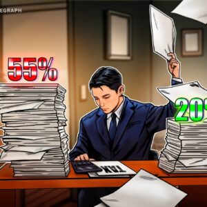 01993476 e254 7831 bc7b 776156336f95.jpeg