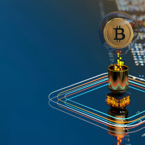 Bitcoin cryptocurrency computer display.jpg