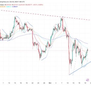 Saupload 68f630eb66e12.jpg