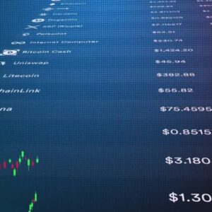 Urlhttps3a2f2fcf.cdn .uplynk.com2fause12fslices2fa482fef205c0e5ea14d77944cbd69043351182fa48.jpeg