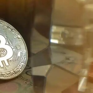 1763747332 articleshow.jpg