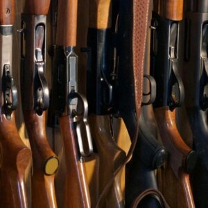 67e25f8472dec.image .jpg