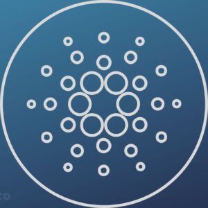 Charles Hoskinson Shuts Down Claims That Cardanos Game Changing Hydra Upgrade Has Failed.jpg