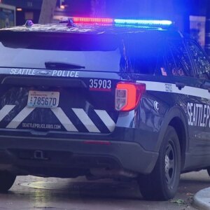 74d6f84b e8ba 436a ba18 64f0de6c004f Sequence DN18PIONEERSQAURESTABBINGADP 0001 frame 4519.jpeg