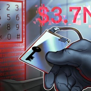 019cf2ca 5954 7a0d 91a8 11a7ee3902e3.jpg