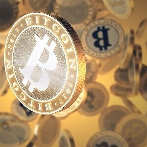 1773640207704209491124 17736402077041162042306.jpeg