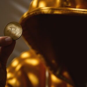 Bitcoin20Scam2028Shutterstock29 id ad55e509 4430 443b 86b1 5ac494ee7f23 size900.jpg