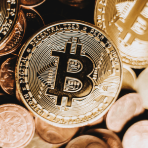 Edhat hero photo size 10.png