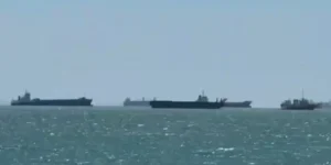 1776811313 3915 large.webp