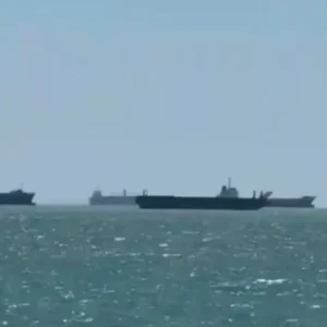 1776811313 3915 large.webp