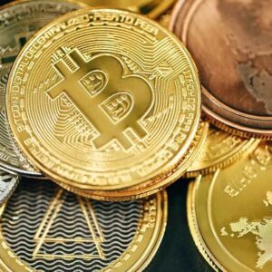 68e982559a01b.image .jpg