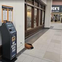 69ae14e01a59c.image .jpg