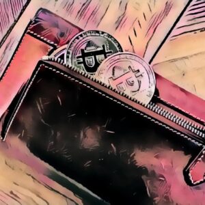 Bitcoin Wallet Cartoon.jpeg