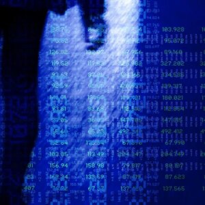 Gettyimages 2219060619.jpg