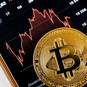 Bit 961 bus crypto.jpg