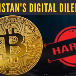 Pakistans digital dilemma.jpg