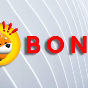 Bonk crypto 314609fcfc.jpg