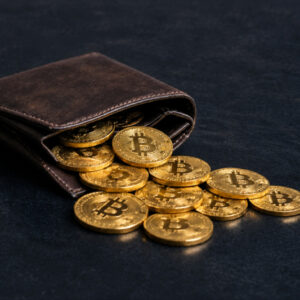 Crypto wallet.jpg